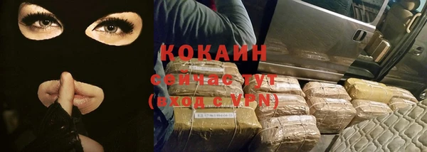 ешки Семилуки