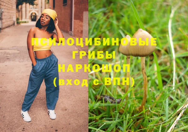 ешки Семилуки