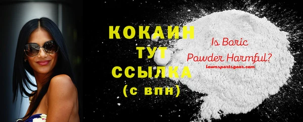 ешки Семилуки