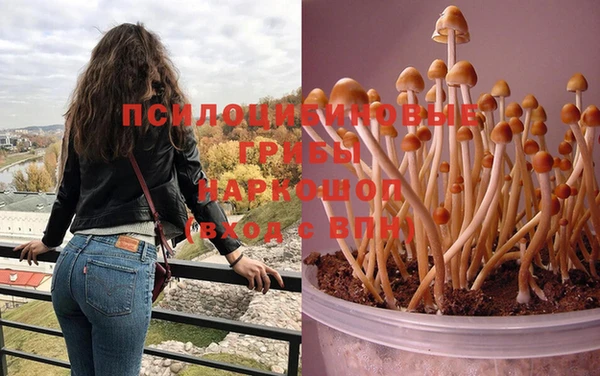 прущие крисы Семикаракорск