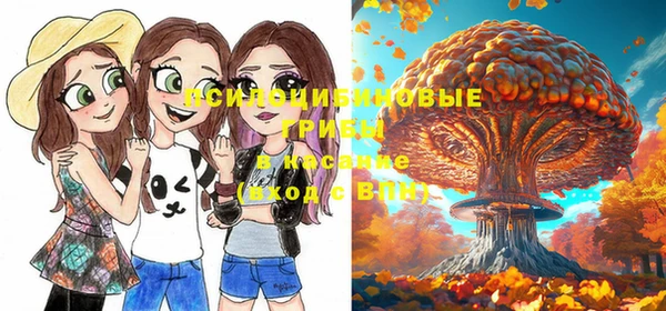 ешки Семилуки
