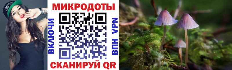 Купить закладки  Шацк  Галлюциногенные грибы GOLDEN TEACHER 