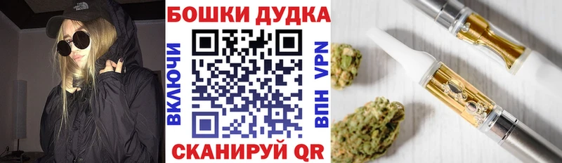 Купить закладки  Шацк  Каннабис планчик 